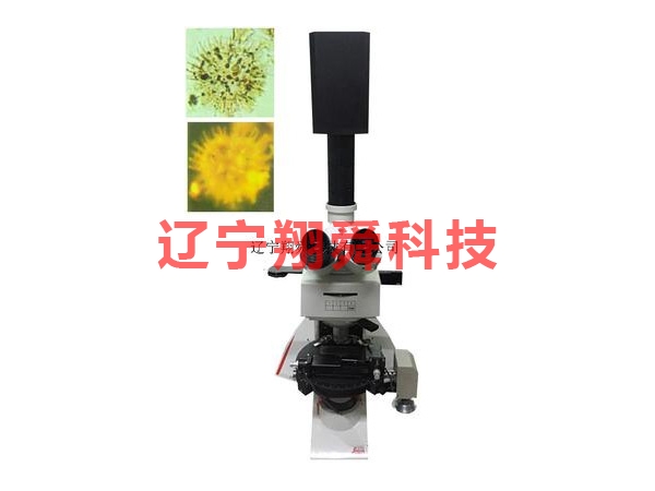YG 1000A煤荧光分析系统